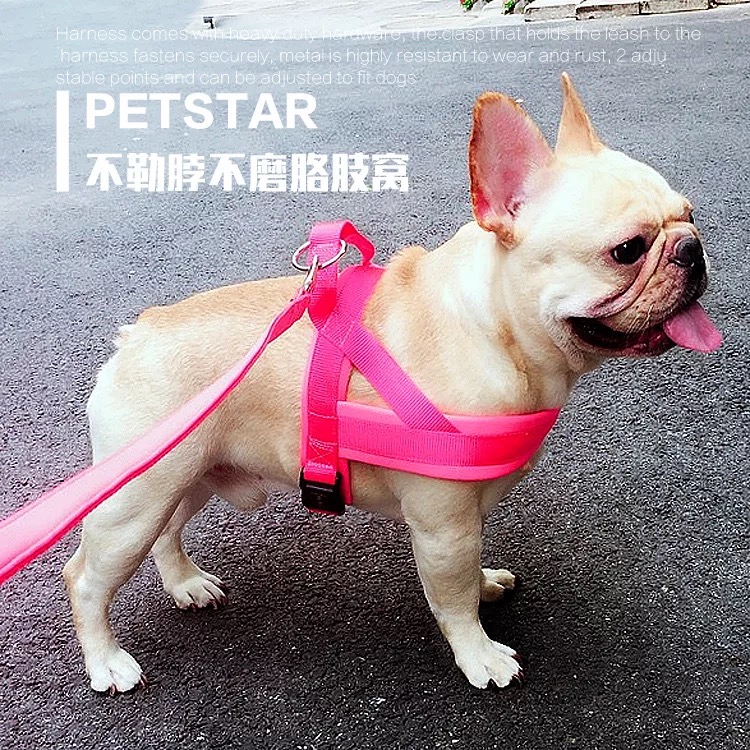 大中小型犬胸背带式牵引绳狗狗法斗巴哥雪纳瑞英牛恶霸牵引绳狗绳 宠物/宠物食品及用品 狗牵引绳 原图主图