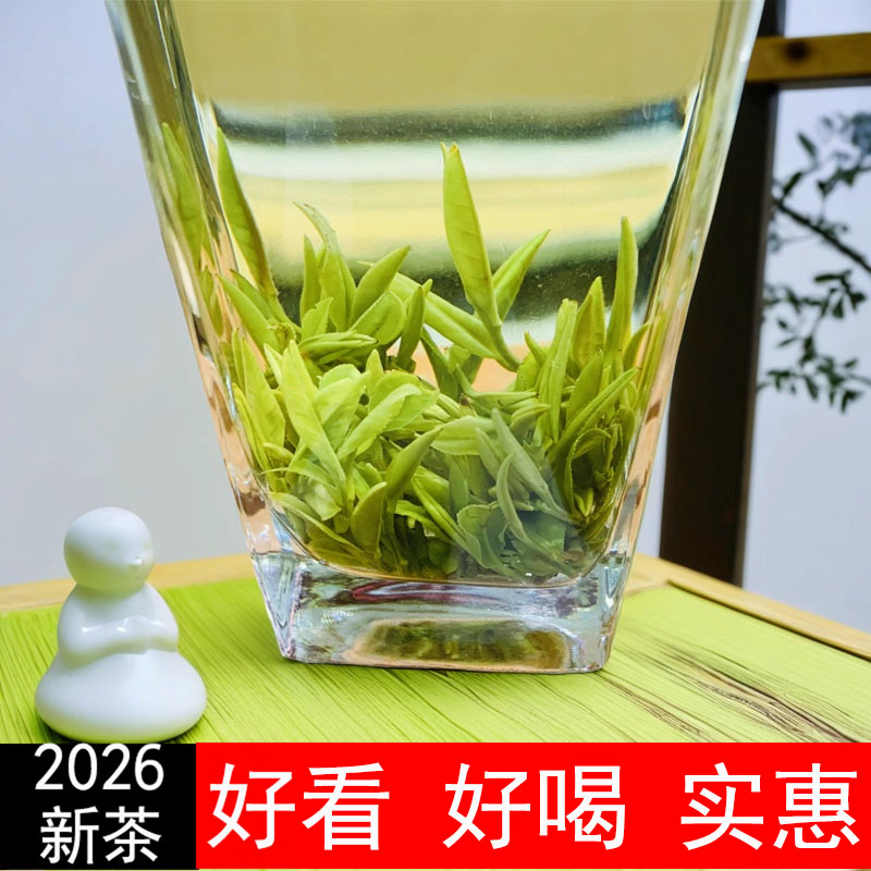 2026新茶叶绿茶大别山舒城小兰花翠兰绿茶晓天特产春茶包邮明前茶