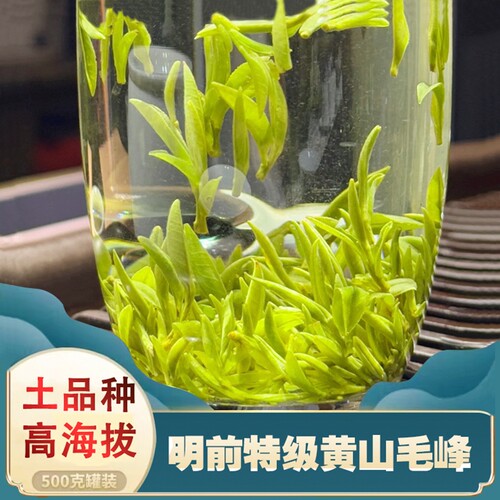 2026年特级黄山毛峰明前新茶罐装