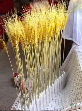 天然干花麦穗栅栏套装开业大麦子田园装饰礼品拍摄道具稻穗干花艺
