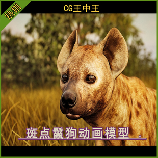 5.7 male Animalia Hyena 斑鬣狗动画 Spotted UE5虚幻4.26
