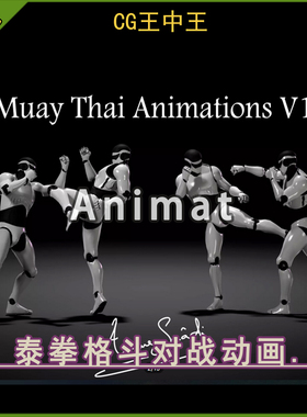 Unity2020.3.15+武术泰拳格斗街头斗殴近战对战比赛动画素材包