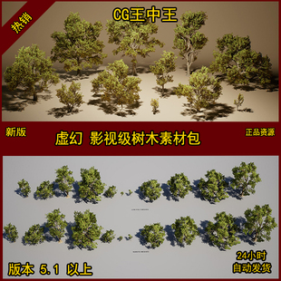虚幻5UE5影视级写实高精度风格大树木自然植物模型素材包