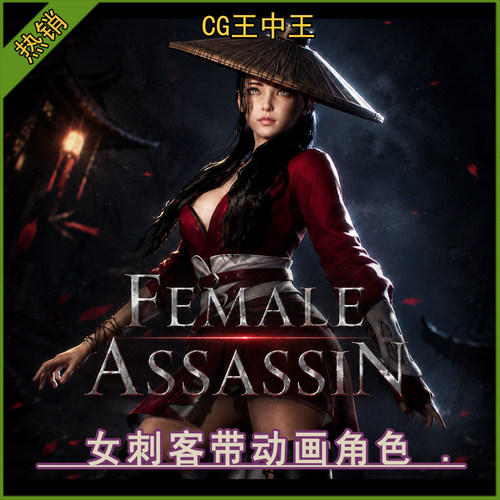 虚幻5ue5.0-5.8+古代国风斗笠女刺客女剑客美女孩带动画游戏角色