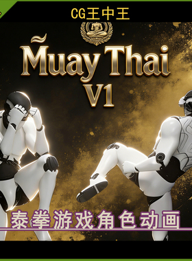 Unity2020+近战格斗武术战斗攻击防御飞踢腿泰拳游戏素材动画包