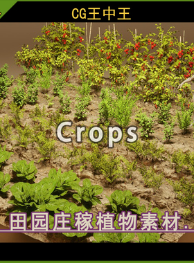 UE5虚幻5 Foliage VOL.24 - Farming Plants 农作物田园庄稼模型
