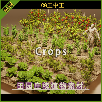 UE5虚幻5 Foliage VOL.24 - Farming Plants 农作物田园庄稼模型