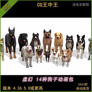 ue5虚幻4写实动物宠物14种狗八哥金毛柯基猎狗牧羊犬带动画模型包