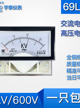 69L17 35kv 5kv/600V交流高压电压表非直接指针AC电压表