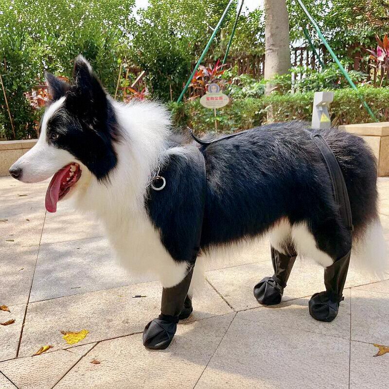 24年新款升级更舒适布料防脏防掉狗鞋柴犬金毛边牧不掉狗靴
