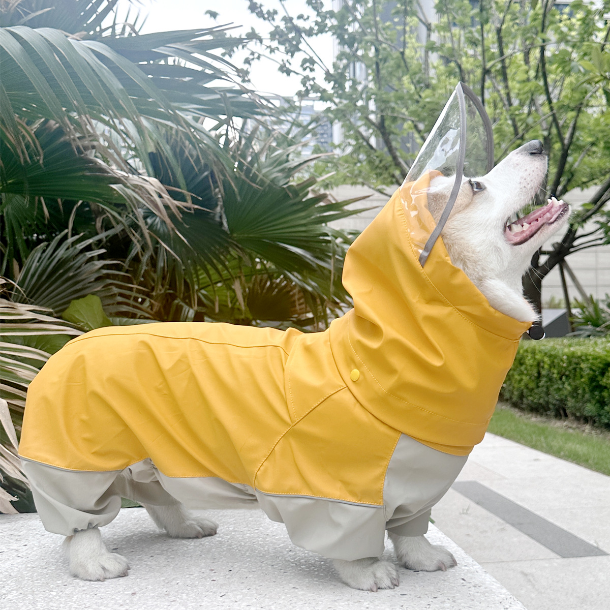 柯基中小型短腿公狗母狗雨衣