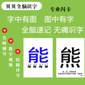 专业闪卡贝贝识字1300字大卡扩充脑容量锻炼专注力