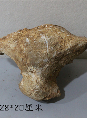 灵璧石象形石造型石毛石未刷天然石头生肖石牛头观赏石招牌