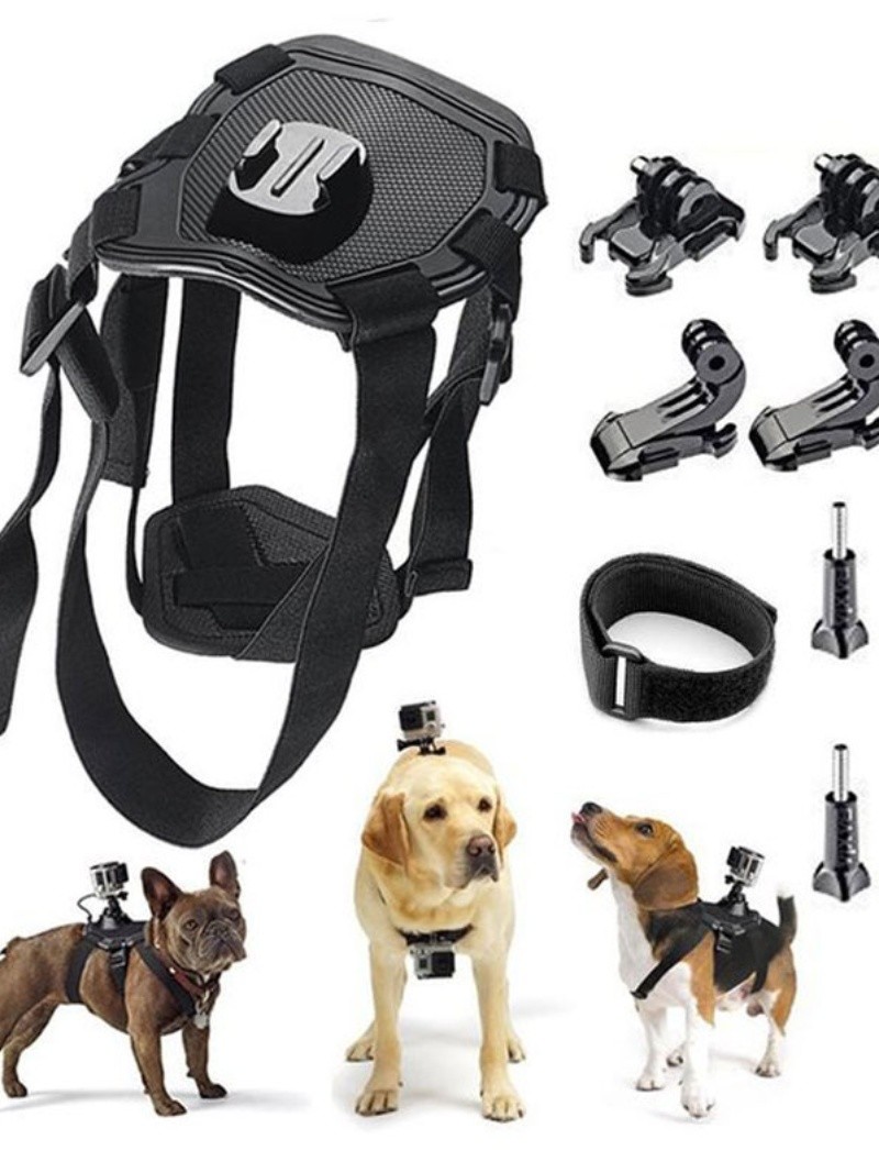 大疆灵眸宠物背带狗视角拍摄