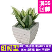 植物 金边短叶虎尾兰 3d纸模型 DIY手工