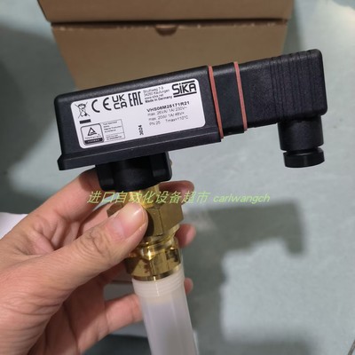 VK332M0P10PI61流量开关SIKA