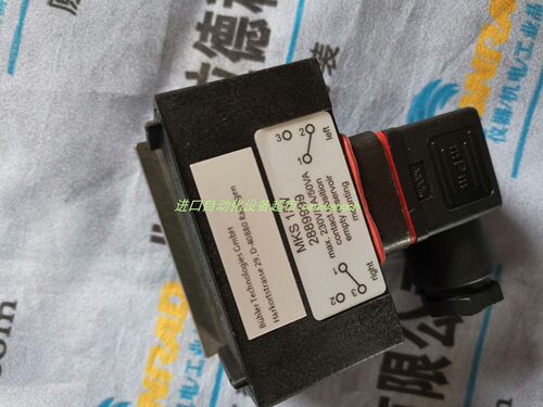 MKS1/K2888999液位开关BUHLER