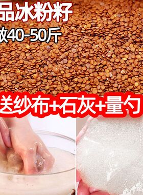 冰粉籽摆地摊专用气泡冰粉水晶冰粉夏季饮品手搓自制冰粉优质商用