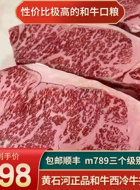 包邮4斤美国m9黄石河西冷牛排谷饲和牛雪花霜降原切健身实惠牛肉