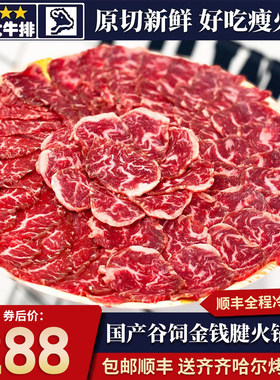 包邮4斤国产谷饲安格斯金钱腱火锅片牛腱子芯原切谷饲雪清真牛肉