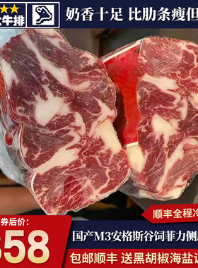 包邮10斤国产安格斯m3菲力侧唇原切谷饲烧烤雪花小牛肋条清真牛肉