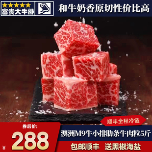 包邮5斤澳洲m9牛小排牛肉粒原切和牛雪花谷饲奶香烧烤炖煮牛腩块