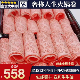 包邮澳洲BMS12和牛羽下肉火锅卷500克原切雪花寿喜烧非A5 m12牛肉