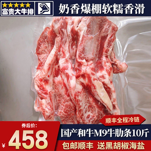 包邮10斤国产和牛m9无骨牛肋条雪花原切奶香烧烤烤肉炖煮牛肉套餐