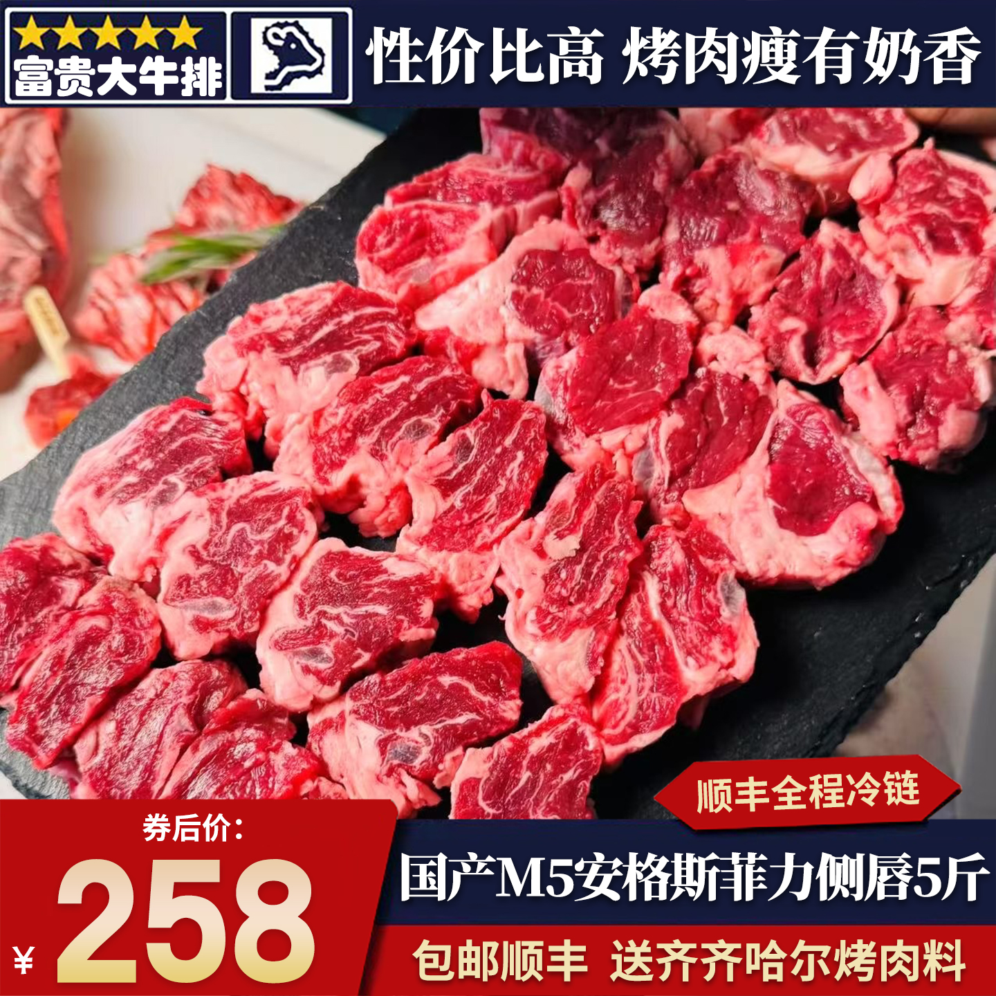 包邮5斤国产安格斯m5菲力侧唇原切无腌谷饲烧烤雪花小牛肋条清真