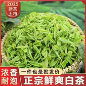官方旗舰店正品 浙江珍稀白茶2025新茶明前嫩芽散装 浓香型绿茶