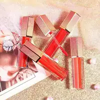 Vnc lip glaze mờ nhung dưỡng ẩm không phai màu chống cấp giá sinh viên son môi 203 son bóng - Son bóng / Liquid Rouge 	son bóng nội địa trung	