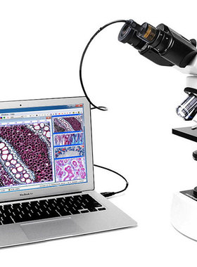 显微镜电子目镜摄像头ccd相机130/200/500万像素高清金相usb免驱
