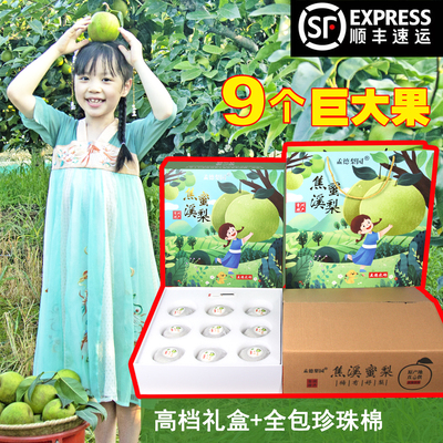高档礼盒装【孟德梨园】常州焦溪蜜梨翠冠梨82梨青皮梨新鲜现摘