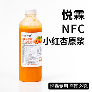 悦霖严选冷冻NFC小红杏原浆果蔬汁原料 茶饮奶茶原料950g
