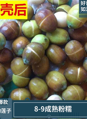 新鲜老莲子广昌莲子粉糯8-9成熟