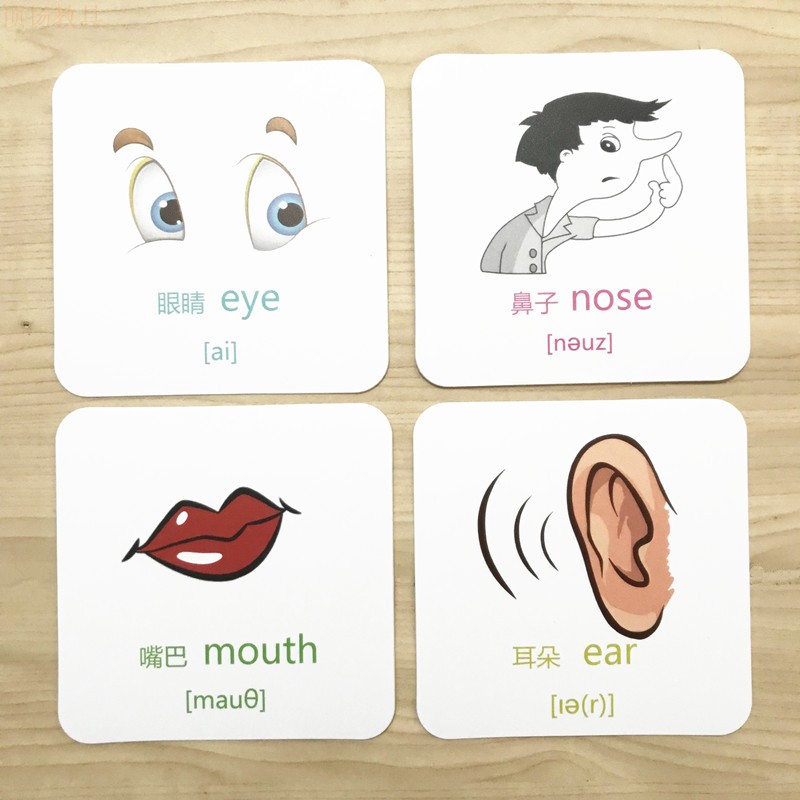 幼儿童五官认知单词卡片有声卡片 英文英语发声单词卡片 早教益智
