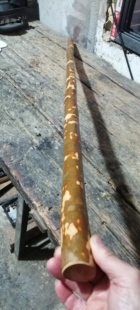 油茶木山茶木千年品种油茶武术棍枪杆料太极棍鞭杆齐眉棍南棍六合