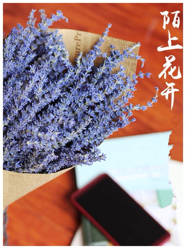 薰衣草干花束客厅熏衣草家居装饰摆设真花安神助眠小清新新疆伊犁