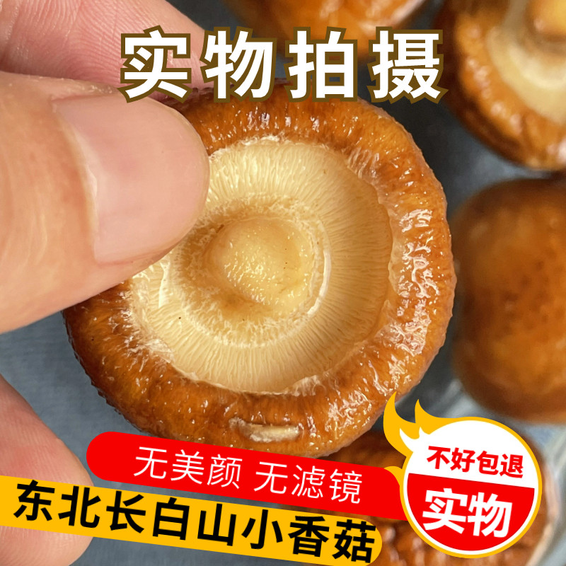 长白山一级小香菇干货特级野生香菇干蘑菇新鲜冬菇花菇土特产新货