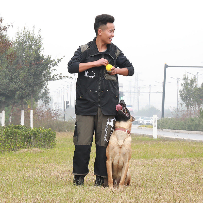专业马甲训犬衣服防撕咬背心