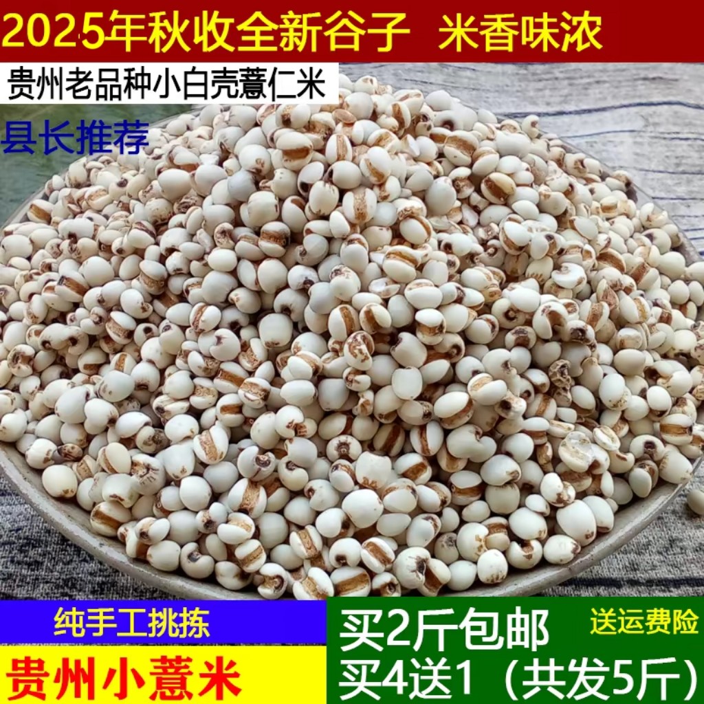 2025年新米薏米仁新货薏仁米小薏米仁小薏仁米贵州小薏米500g