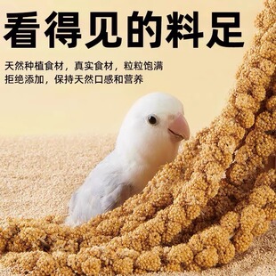 鹦鹉天然谷穗带壳黄谷子小米玄凤虎皮饲料鸟粮鸟食文鸟珍珠鸟零食