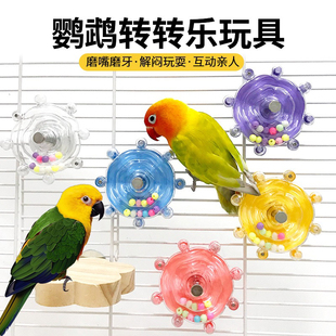 鹦鹉玩具铃铛球解闷自嗨啃咬陪伴训练互动益智解压玄风虎皮逗鸟用