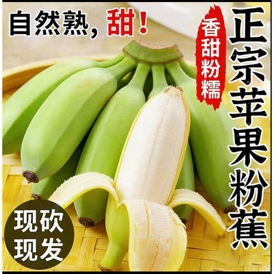 广西正宗苹果蕉软糯香甜