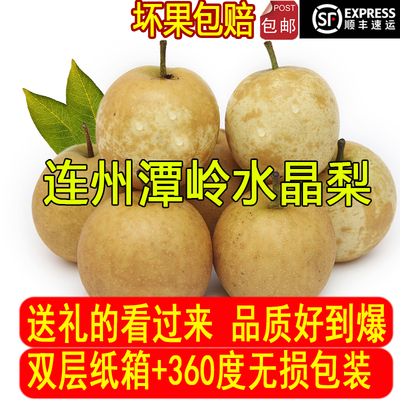 新品正宗连州特产梨水果顺丰