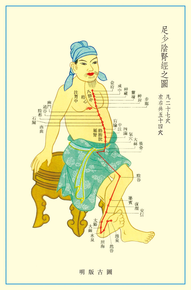 569薄膜海报印制展板喷绘写真235足少阴肾经穴位图