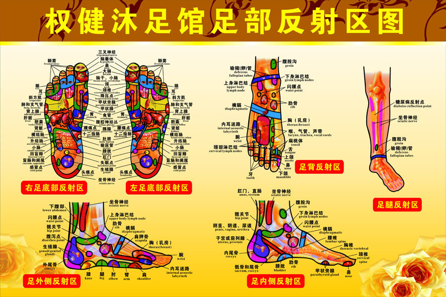 751薄膜海报印制展板喷绘写真218沐足馆足部反射区图解剖图