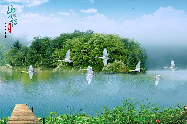 1大幅贴膜海报山水风景画中堂画挂画装饰画41天鹅风景100,150