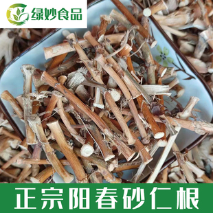 砂仁根阳春春砂仁根干货散装阳春特产广东煲汤材料家庭滋补汤料