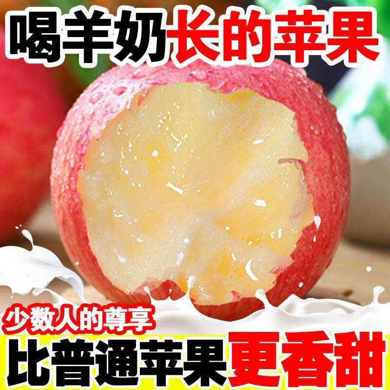 万荣新鲜红富士羊奶苹果脆甜冰糖心苹果整箱包邮应季水果丑苹果